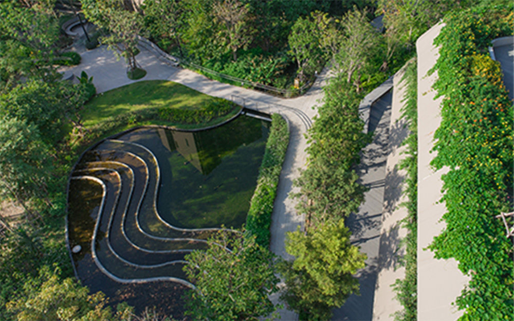 โอเอซิส